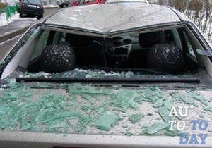 Последствия падения дерева Последствия падения дерева