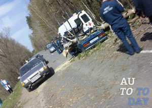 На машину упало дерево На машину упало дерево