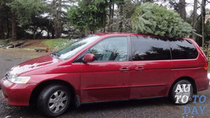 Ель на крыше