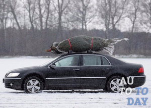 Перевозка ели