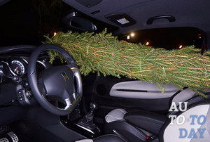 Перевозка новогодней ели