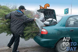 Перевозка новогодней ели