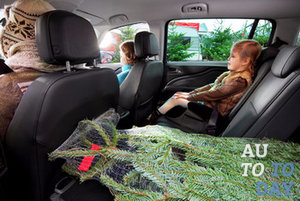 Перевозка ели в салоне