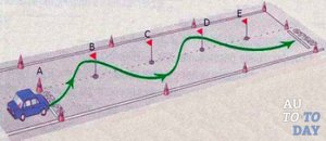 Сдаем змейку Сдаем змейку