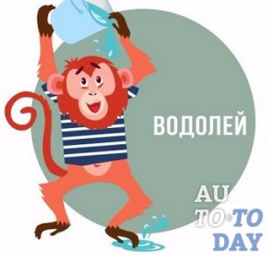 Водолей Водолей