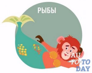 Рыбы Рыбы