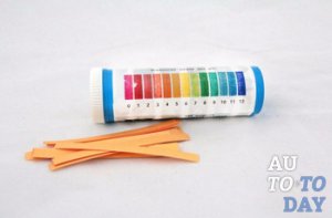 Лакмусовая бумага Лакмусовая бумага