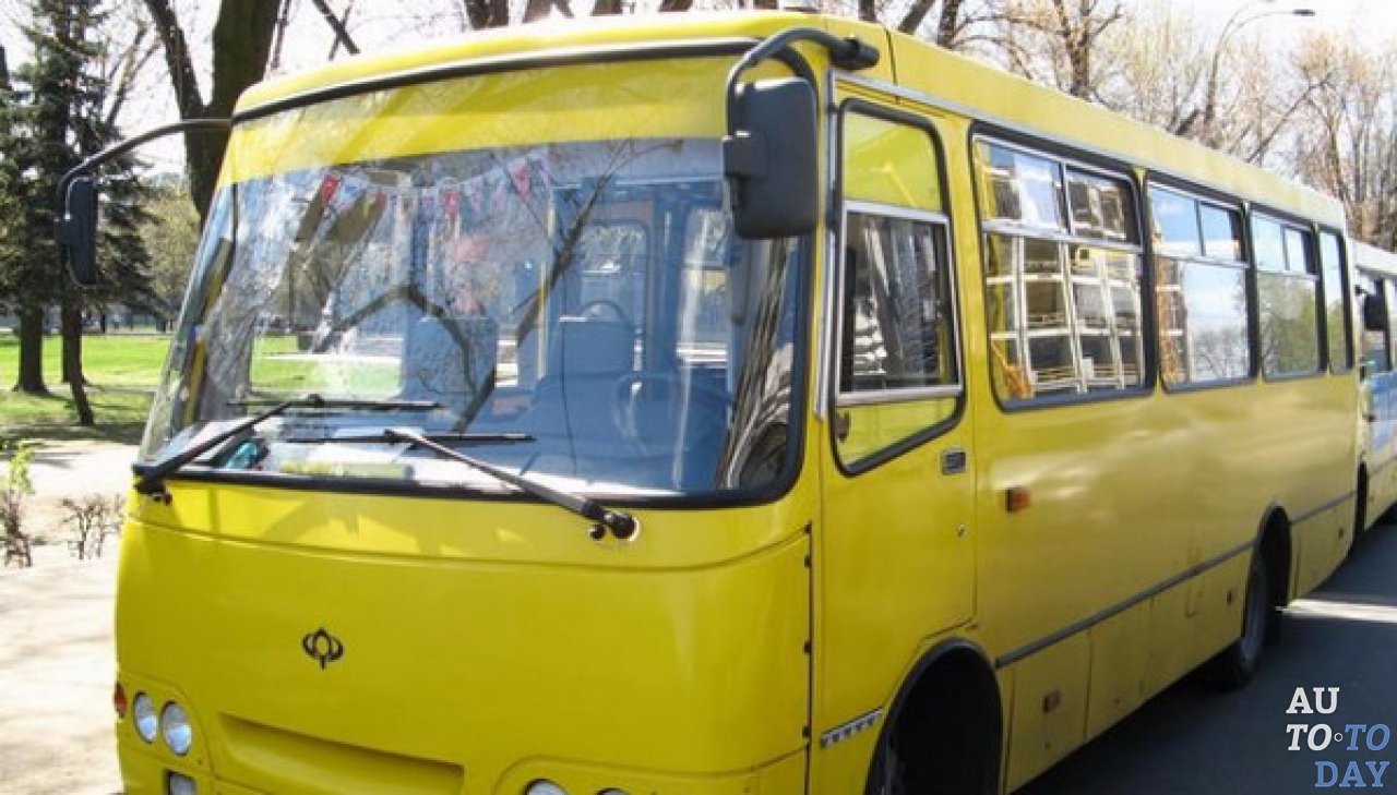 Городские автобусы Городские автобусы