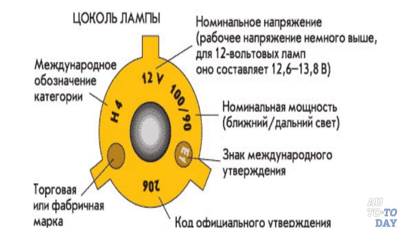 Цоколи автомобильных ламп: название, разновидности, как определить виды,  маркировка, размеры, таблицы, список с картинками, фото