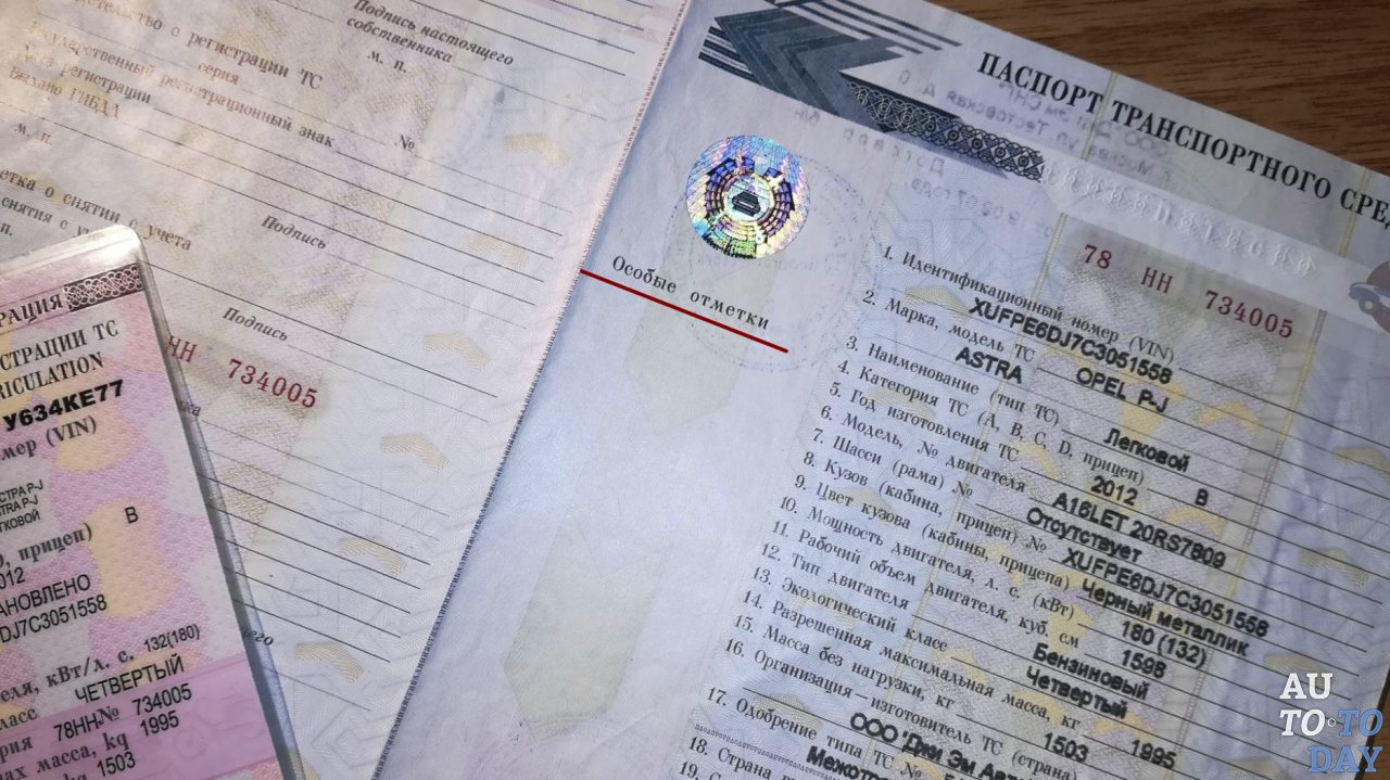 Где находится графа «Особые отметки»