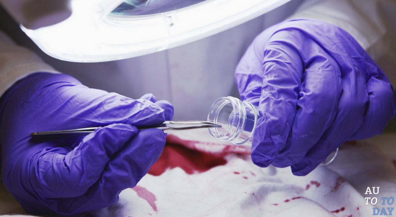 Судмедэкспертиза после ДТП Судмедэкспертиза после ДТП