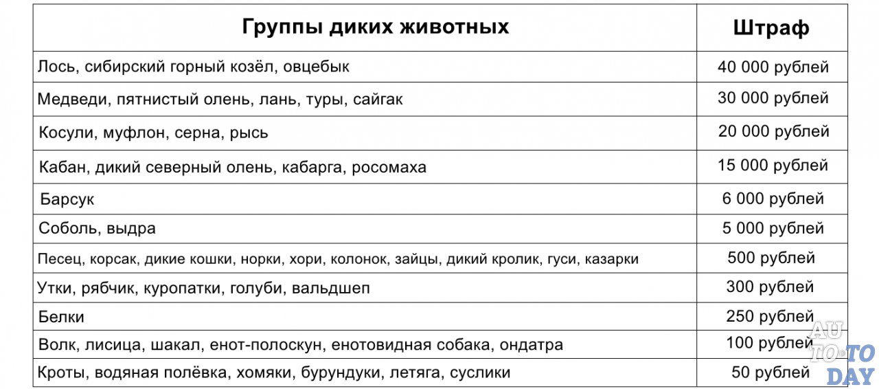 Размер штрафа за сбитое жывотное Размер штрафа за сбитое жывотное