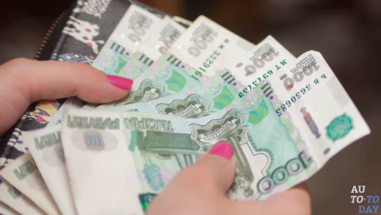 Денежная компенсация при ДТП с животным