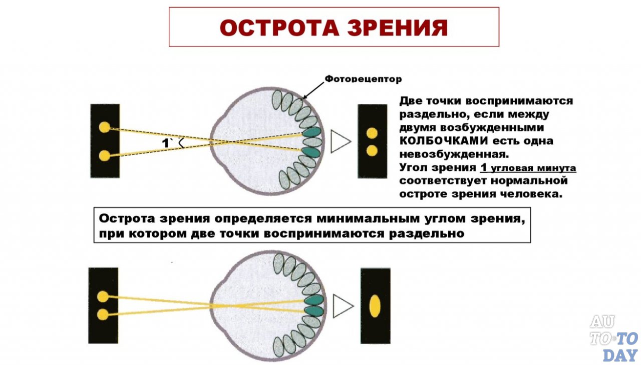 Фактическое зрение. Острота зрения. Зрение -1. Острота зрения человека. Что называется остротой зрения?.