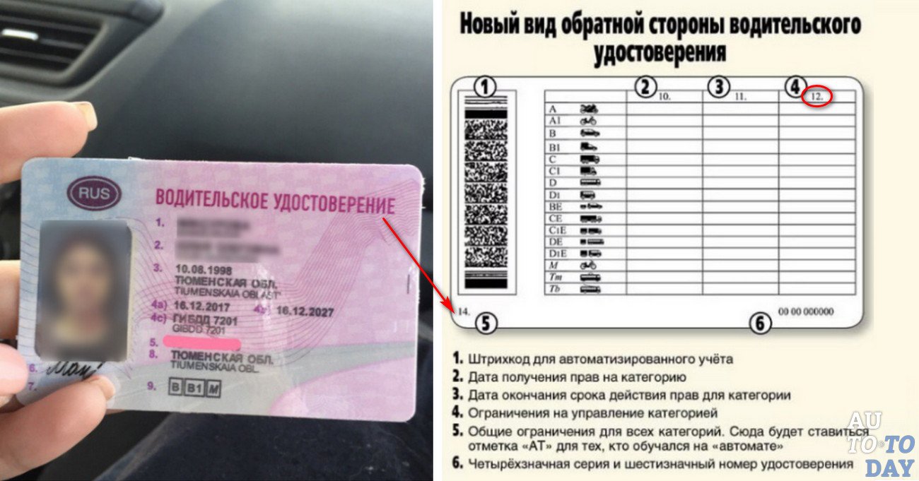 купить водительские права