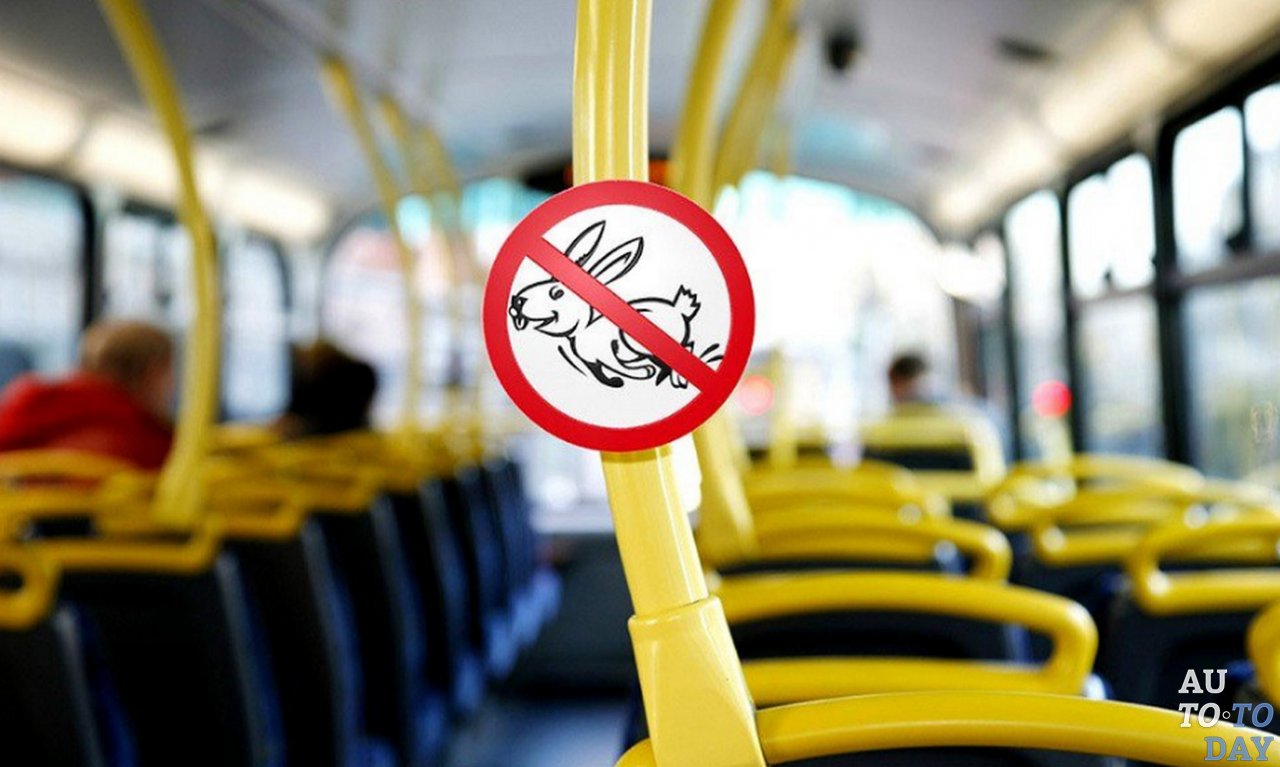 Безбилетный проезд Безбилетный проезд