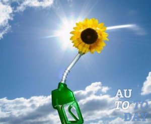 Летнее дизельное топливо Летнее дизельное топливо